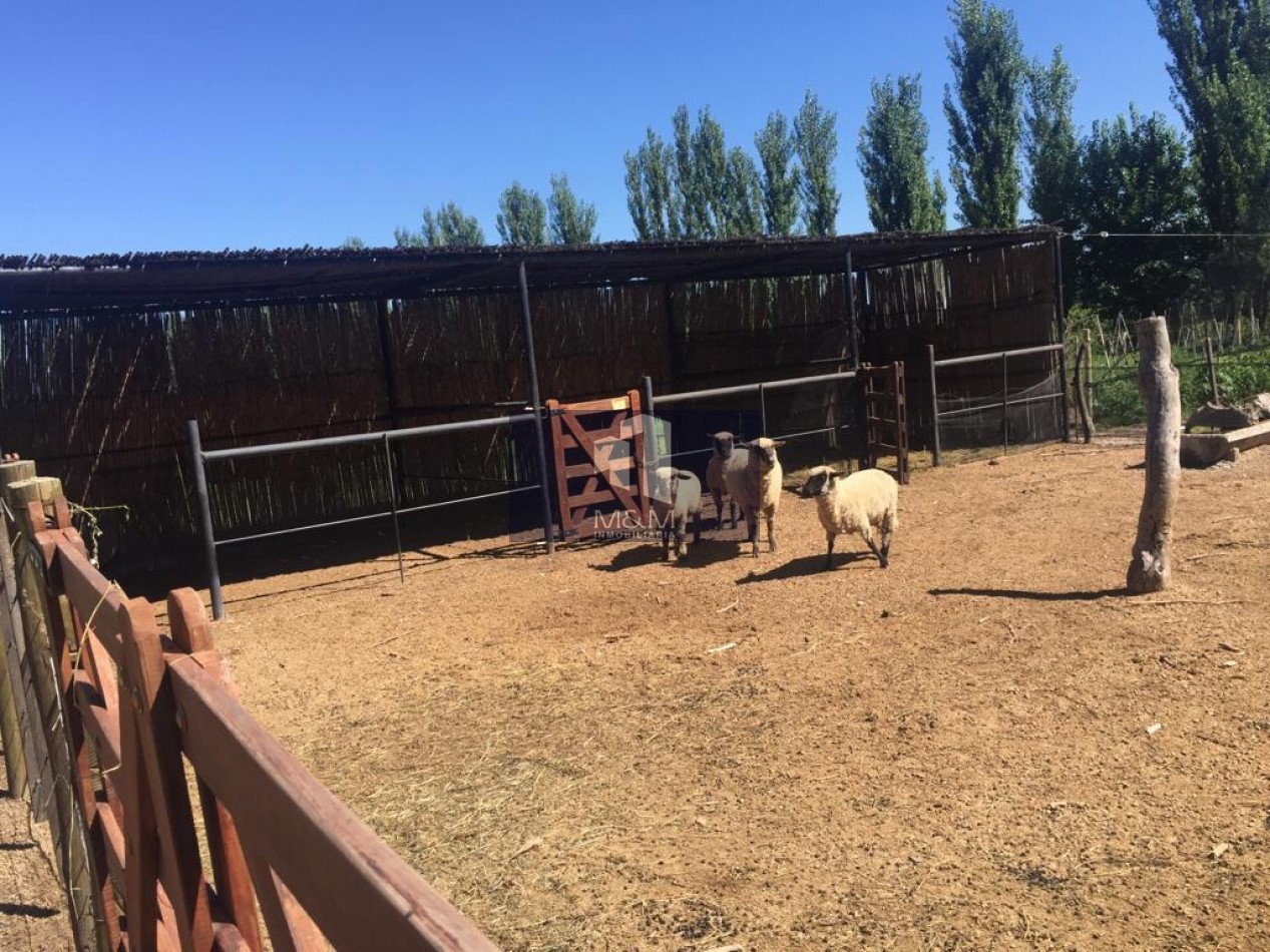 EN VENTA