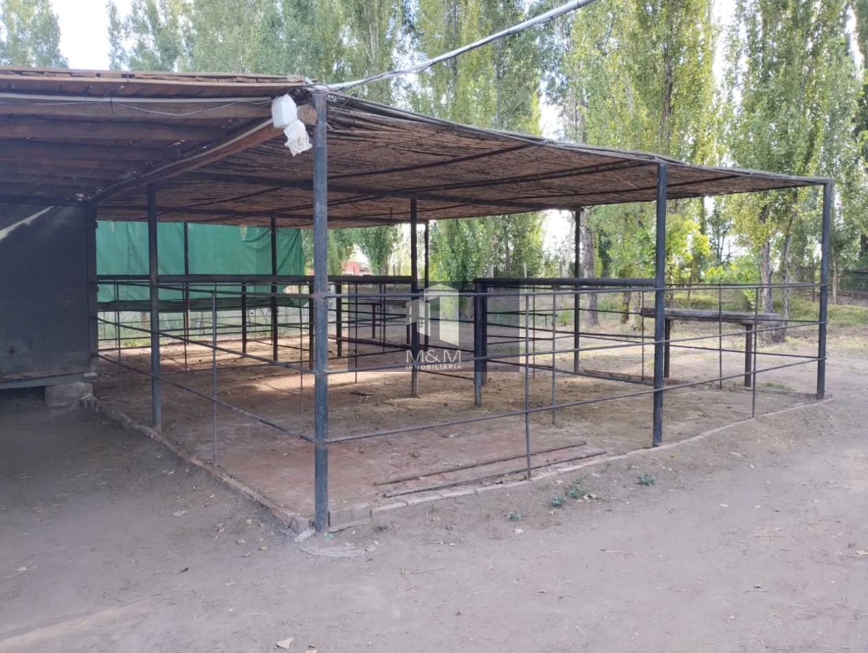 EN VENTA